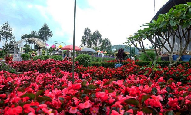 Kode Alam Kebun Bunga / Erek Erek 73 83 Gambar Erek Erek